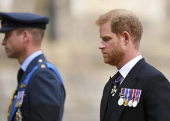 Le prince Harry lance un appel au roi Charles III et au prince William
