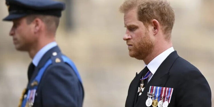Le prince Harry lance un appel au roi Charles III et au prince William 1 - Le Progrès Egyptien