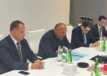 Choucri souligne le rôle des instituons internationales dans la mobilisation du financement de l’action climatique