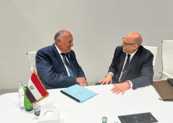 Choucri juge important de renforcer le rôle des banques de développement dans le financement de l’action climatique