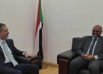 L’Egypte continue à soutenir le Soudan et le processus politique  