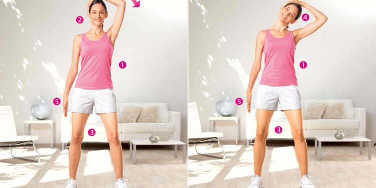 <strong>Exercice d’étirement du cou</strong> 1 - Le Progrès Egyptien