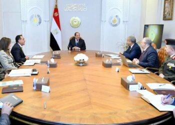 Al-Sissi : Rendre le prix de l’approvisionnement en blé rémunérateur pour les agriculteurs