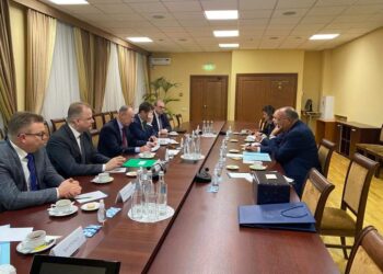 Choucri: Il importe de faire primer l’issue politique pour la crise russo-ukrainienne