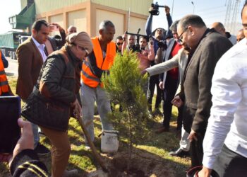 Le ministère de l’environnement et le gouvernorat participent au projet 100 millions d’arbres