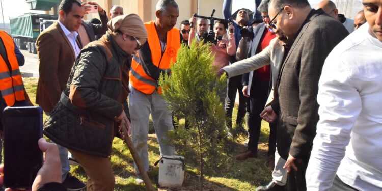 Le ministère de l'environnement et le gouvernorat participent au projet 100 millions d'arbres 2 - Le Progrès Egyptien Le ministère de l'environnement et le gouvernorat participent au projet 100 millions d'arbres 1 - Le Progrès Egyptien