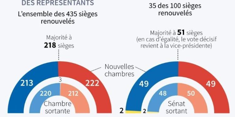 USA : Les républicains prennent le contrôle de la Chambre des représentants 2 - Le Progrès Egyptien USA : Les républicains prennent le contrôle de la Chambre des représentants 1 - Le Progrès Egyptien