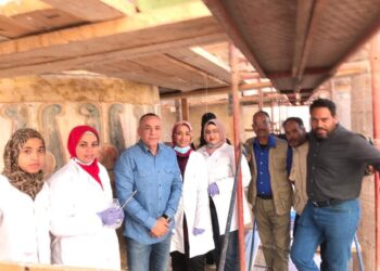 Nettoyage de 37 colonnes au temple de Karnak