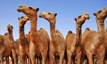 Hypersensibilité ou pas, tout est à dire !