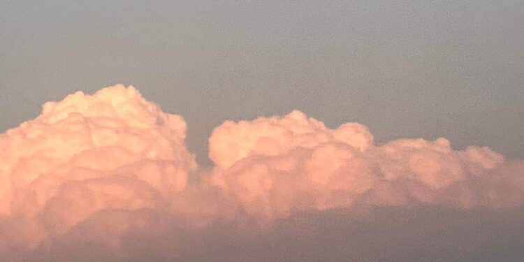 <strong>Derrière la caméra se cachent les rêves de Jasmine Khaled</strong> 2 - Le Progrès Egyptien <strong>Derrière la caméra se cachent les rêves de Jasmine Khaled</strong> 1 - Le Progrès Egyptien