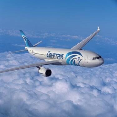 Le gouvernement nie l'intention de vendre EgyptAir 2 - Le Progrès Egyptien Le gouvernement nie l'intention de vendre EgyptAir 1 - Le Progrès Egyptien