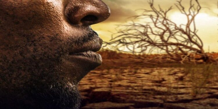 "Shabeellaha", le documentaire qui informe et réforme 2 - Le Progrès Egyptien "Shabeellaha", le documentaire qui informe et réforme 1 - Le Progrès Egyptien