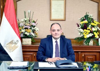 L’Egypte au sommet des chefs d’État et chefs d’entreprises à Accra