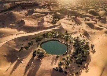 Siwa, un petit coin de verdure idyllique