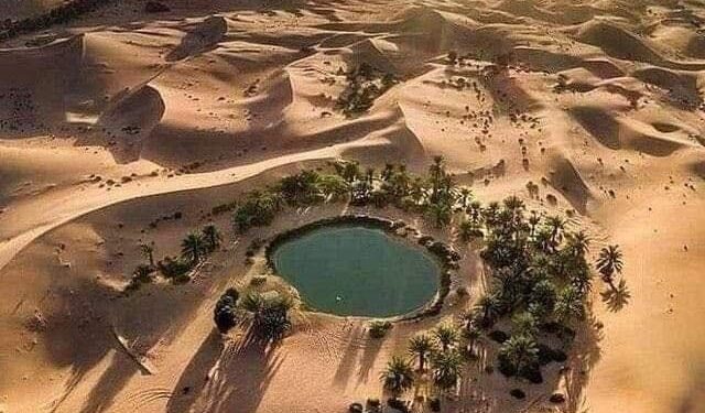 Siwa, un petit coin de verdure idyllique 1 - Le Progrès Egyptien