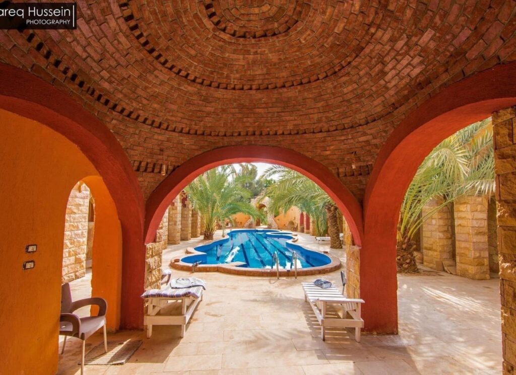 Siwa, un petit coin de verdure idyllique 3 - Le Progrès Egyptien