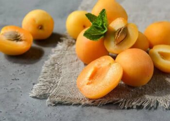 Un proverbe, une histoire : Fi El-mechmech