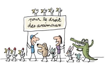 Les animaux ont aussi des droits en Islam