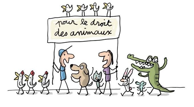 Les animaux ont aussi des droits en Islam 1 - Le Progrès Egyptien