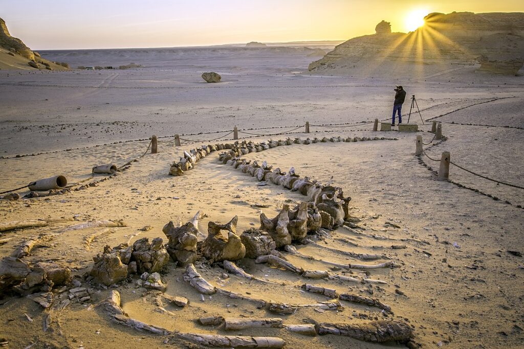 <strong>Sept sites égyptiens sur la Liste du Patrimoine mondial</strong> 4 - Le Progrès Egyptien <strong>Sept sites égyptiens sur la Liste du Patrimoine mondial</strong> 3 - Le Progrès Egyptien