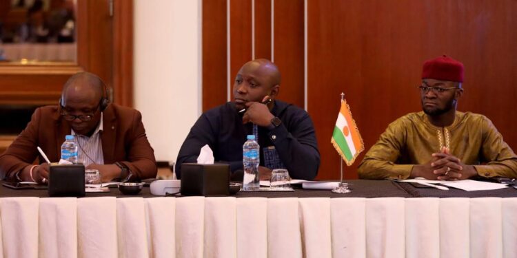 Mettre fin à la présence des forces étrangères et des mercenaires 1 - Le Progrès Egyptien