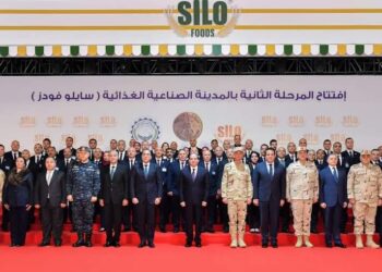 Al-Sissi : Assurer un stock stratégique de produits de base