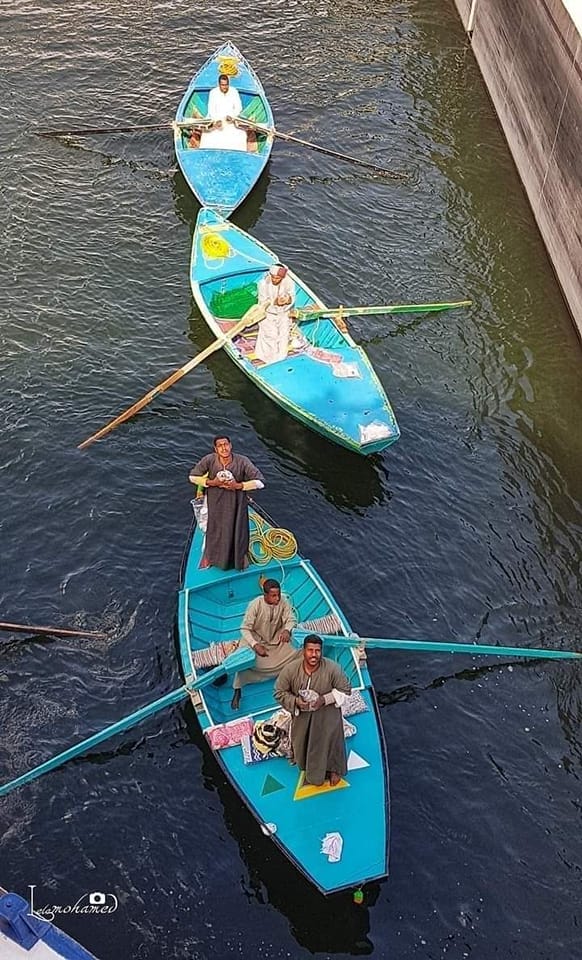 Sans-titre 3 - Le Progrès Egyptien