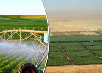 Boom sans précédent dans le secteur agricole