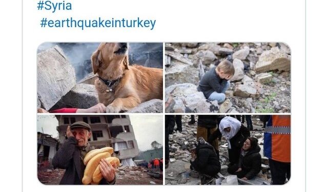 La terre tremble, les réseaux sociaux aussi 1 - Le Progrès Egyptien