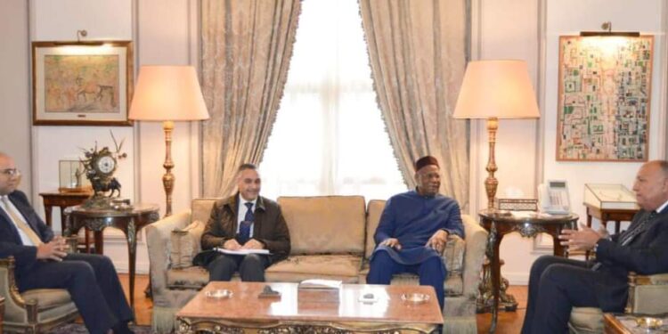 <strong>Choucri : Les parties étrangères doivent cesser de modifier le processus politique en Libye</strong> 1 - Le Progrès Egyptien