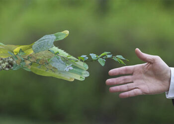 Renforcer la durabilité environnementale