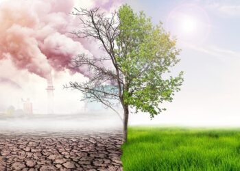 Financement des projets de protection climatique