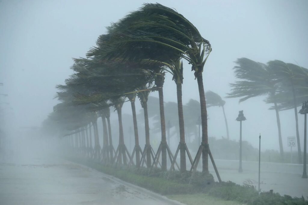 Est-ce que la colère de la nature est causée par le changement climatique ? 8 - Le Progrès Egyptien Est-ce que la colère de la nature est causée par le changement climatique ? 7 - Le Progrès Egyptien