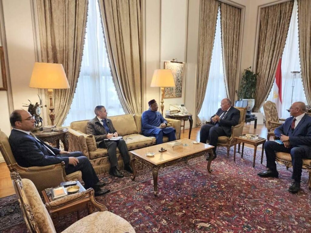 <strong>Choucri : Les parties étrangères doivent cesser de modifier le processus politique en Libye</strong> 5 - Le Progrès Egyptien