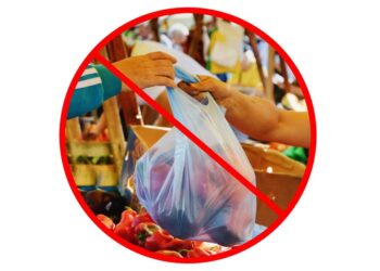 Vers une élimination des sacs plastiques