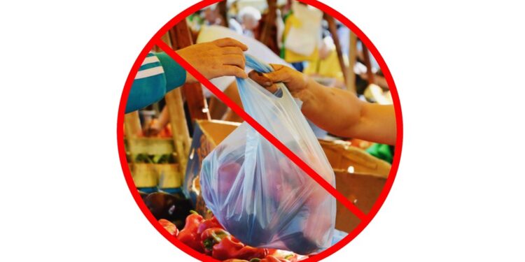 Vers une élimination des sacs plastiques 2 - Le Progrès Egyptien Vers une élimination des sacs plastiques 1 - Le Progrès Egyptien