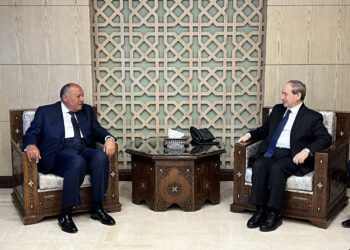 Séance de pourparlers entre Choucri et son homologue syrien
