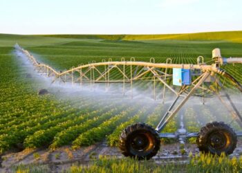 L’agriculture contractuelle, outil de sécurité alimentaire