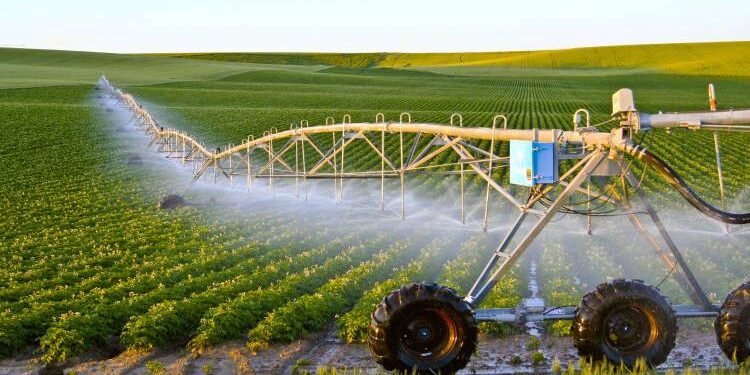 L’agriculture contractuelle, outil de sécurité alimentaire 1 - Le Progrès Egyptien