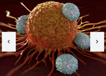 Un espoir pour le traitement du Cancer des ovaires