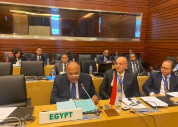 Choucri souligne la nécessité d’arrêter les ingérences étrangères dans les affaires libyennes
