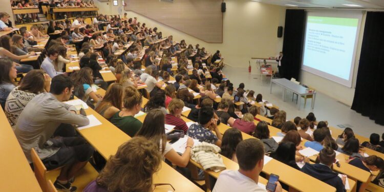 Universités : Développer le système d’enseignement 1 - Le Progrès Egyptien