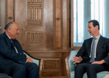 Choucri : L’Egypte est prête à faire plus pour alléger la souffrance du peuple syrien