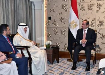 Al-Sissi : Booster le partenariat Egypte-BID