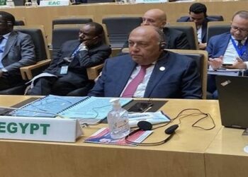 Trouver des solutions africainesaux problèmes du continent