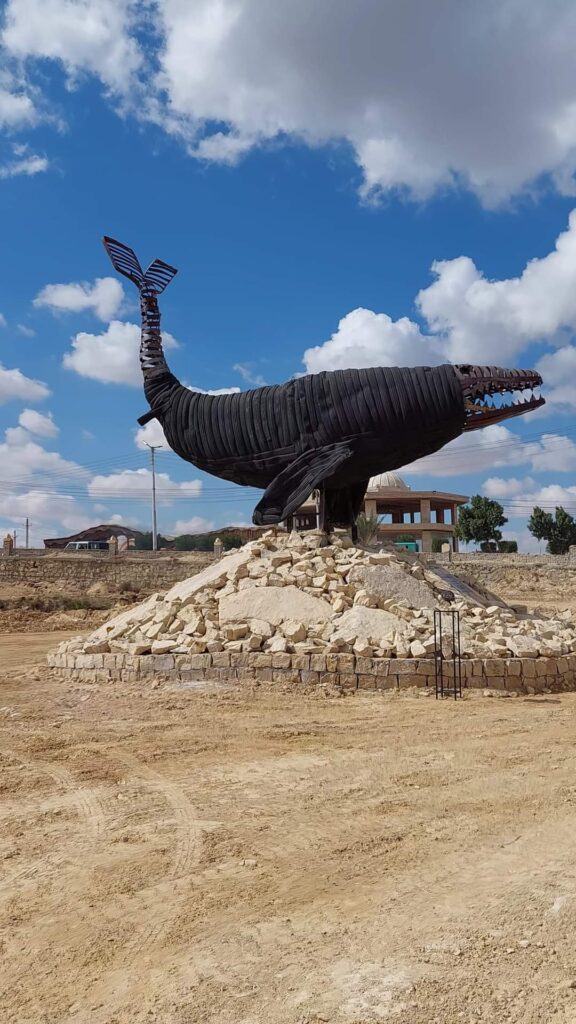 Salah donne vie au pneu avec son immense baleine 15 - Le Progrès Egyptien