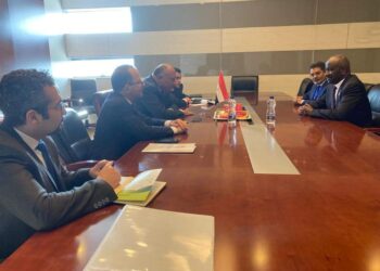 Choucri s’entretient avec son homologue mauritanien autour de la coopération bilatérale