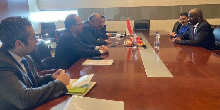 Choucri s'entretient avec son homologue mauritanien autour de la coopération bilatérale 2 - Le Progrès Egyptien Choucri s'entretient avec son homologue mauritanien autour de la coopération bilatérale 1 - Le Progrès Egyptien