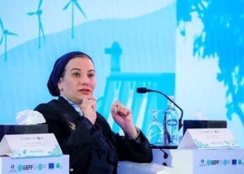 Mécanisme de financemenl de l’économie verte en Egypte
