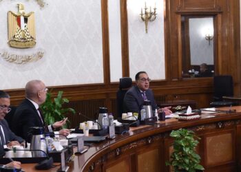 Madbouli examine le projet de fourniture des terrains industriels